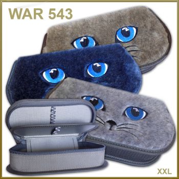 WAR 543